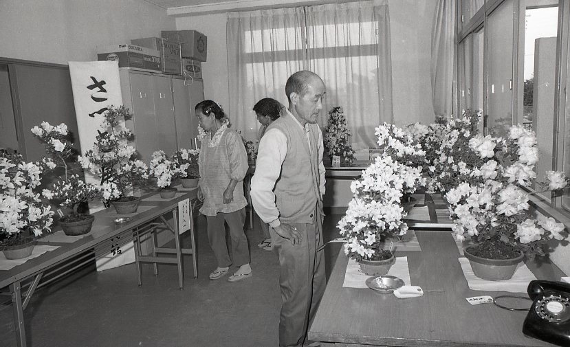 1973　さつき展069.jpg